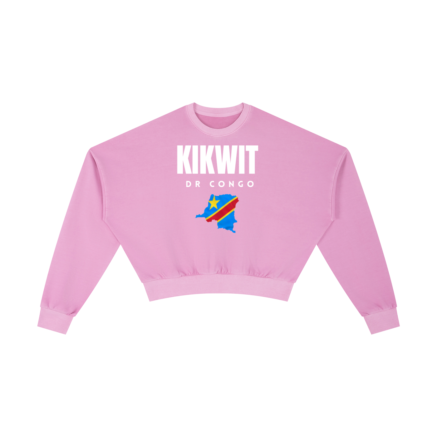 Vintage Washed Cropped Sweatshirt